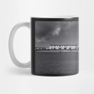 Houses Mug